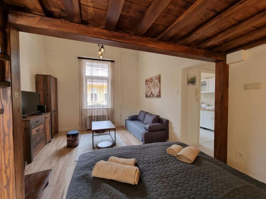 Vintage Apartman In City Center Miskolc Ngoại thất bức ảnh