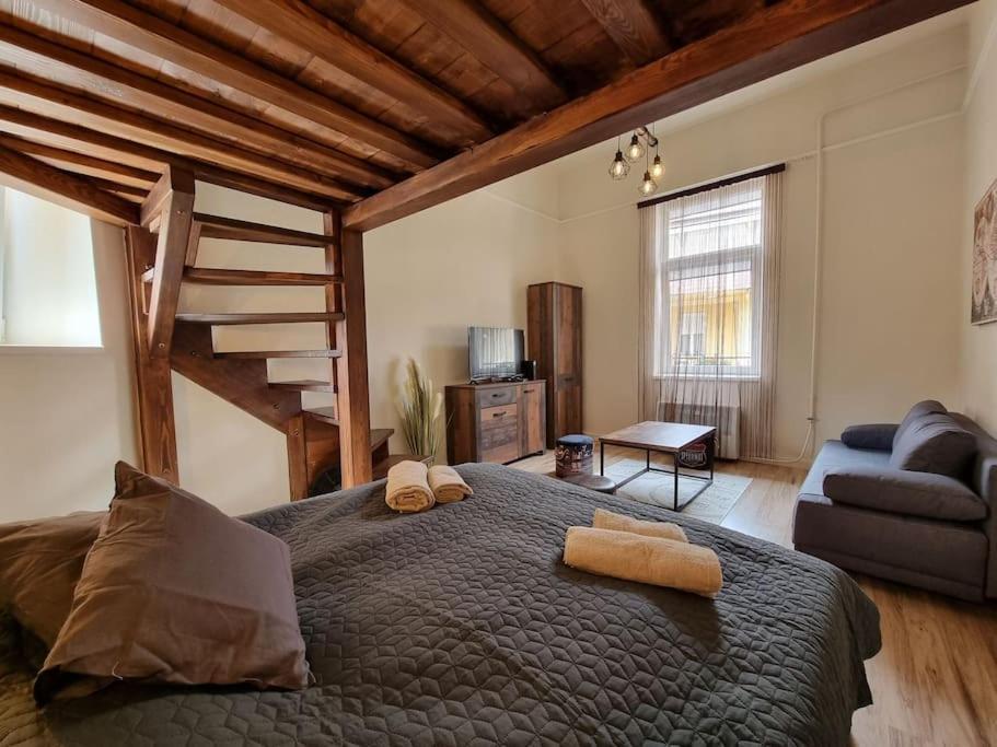Vintage Apartman In City Center Miskolc Ngoại thất bức ảnh
